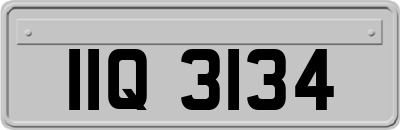 IIQ3134