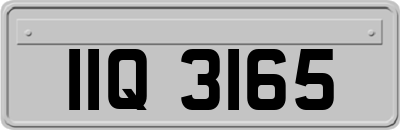 IIQ3165
