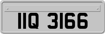 IIQ3166