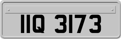 IIQ3173