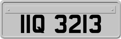 IIQ3213