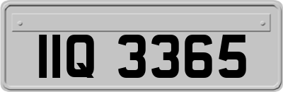 IIQ3365