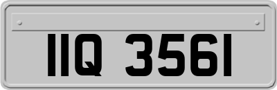 IIQ3561