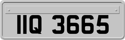 IIQ3665