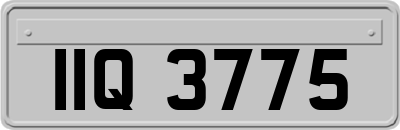 IIQ3775