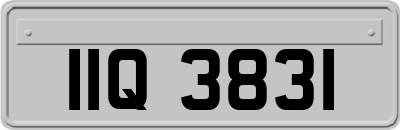 IIQ3831