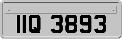 IIQ3893