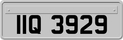 IIQ3929