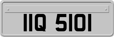 IIQ5101