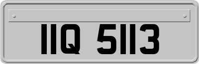 IIQ5113