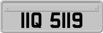IIQ5119