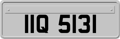 IIQ5131