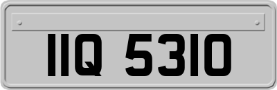 IIQ5310