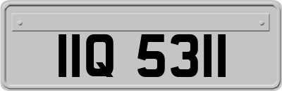 IIQ5311