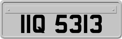 IIQ5313