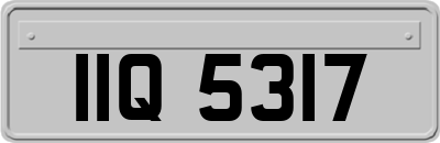IIQ5317