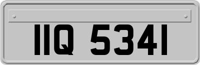IIQ5341
