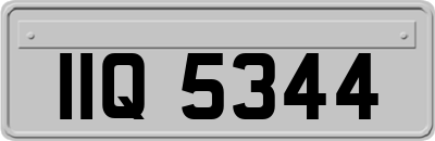 IIQ5344