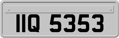 IIQ5353