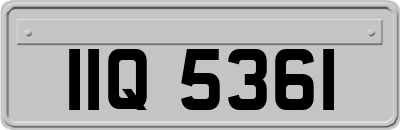 IIQ5361