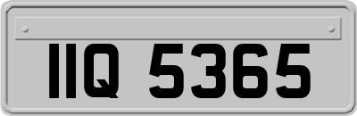 IIQ5365
