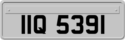 IIQ5391