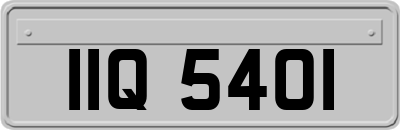 IIQ5401