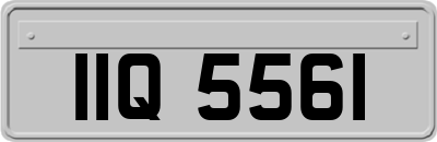 IIQ5561