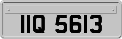 IIQ5613