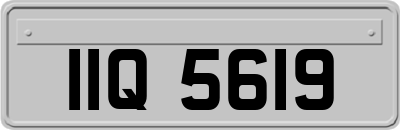 IIQ5619