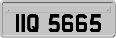 IIQ5665