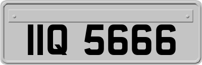 IIQ5666