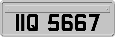 IIQ5667