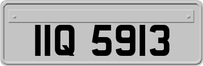 IIQ5913