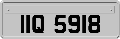 IIQ5918
