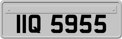 IIQ5955