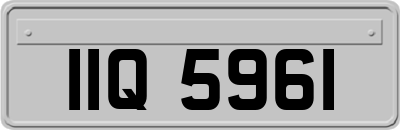 IIQ5961