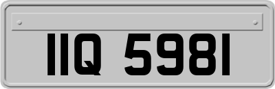 IIQ5981