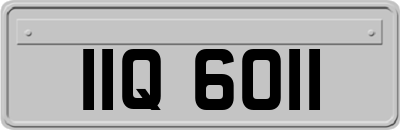 IIQ6011