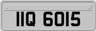 IIQ6015
