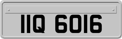 IIQ6016