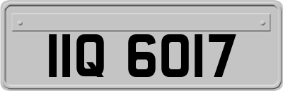 IIQ6017
