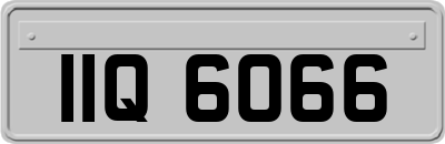 IIQ6066