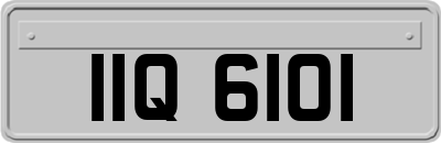 IIQ6101