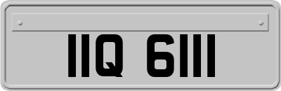 IIQ6111