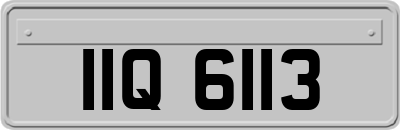 IIQ6113