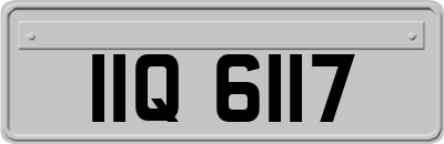 IIQ6117