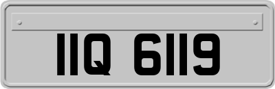 IIQ6119