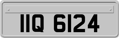 IIQ6124