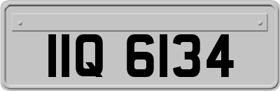 IIQ6134